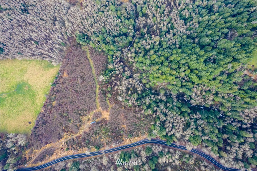 0 Green Mountain Road Mossyrock, WA 98564 - Photo 25 of 33 Gallery Image 25