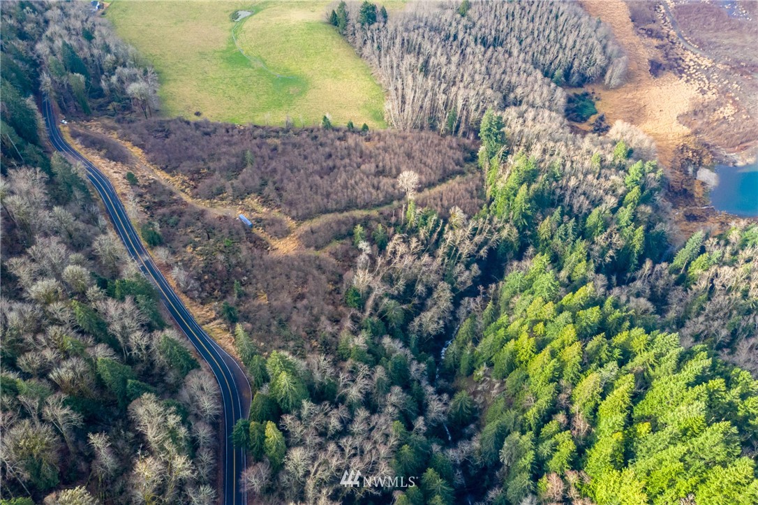 0 Green Mountain Road Mossyrock, WA 98564 - Photo 26 of 33 Gallery Image 26