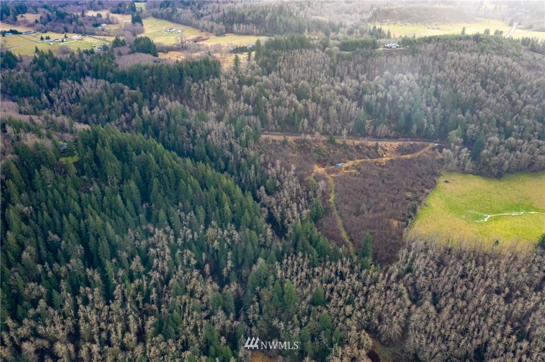 0 Green Mountain Road Mossyrock, WA 98564 - Photo 27 of 33 Gallery Image 27