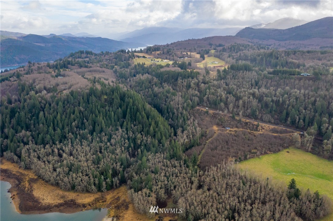0 Green Mountain Road Mossyrock, WA 98564 - Photo 28 of 33 Gallery Image 28