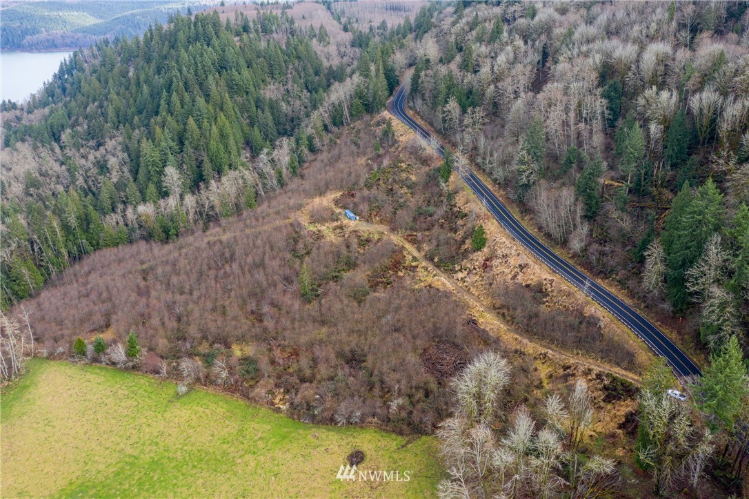 0 Green Mountain Road Mossyrock, WA 98564 - Photo 29 of 33 Gallery Image 29