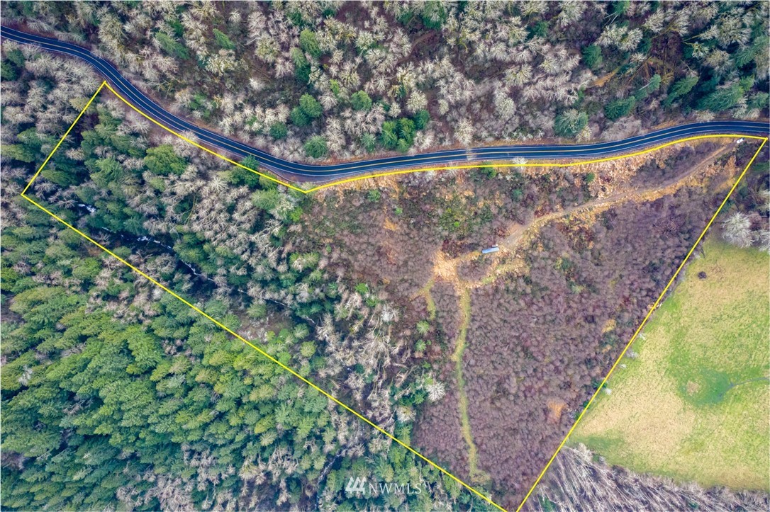 0 Green Mountain Road Mossyrock, WA 98564 - Photo 30 of 33 Gallery Image 30