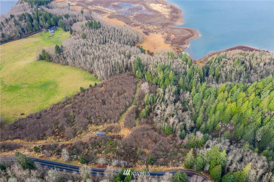 0 Green Mountain Road Mossyrock, WA 98564 - Photo 4 of 33 Gallery Image 4