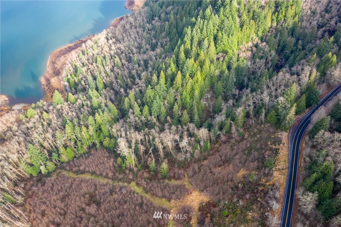 0 Green Mountain Road Mossyrock, WA 98564 - Photo 31 of 33 Gallery Image 31