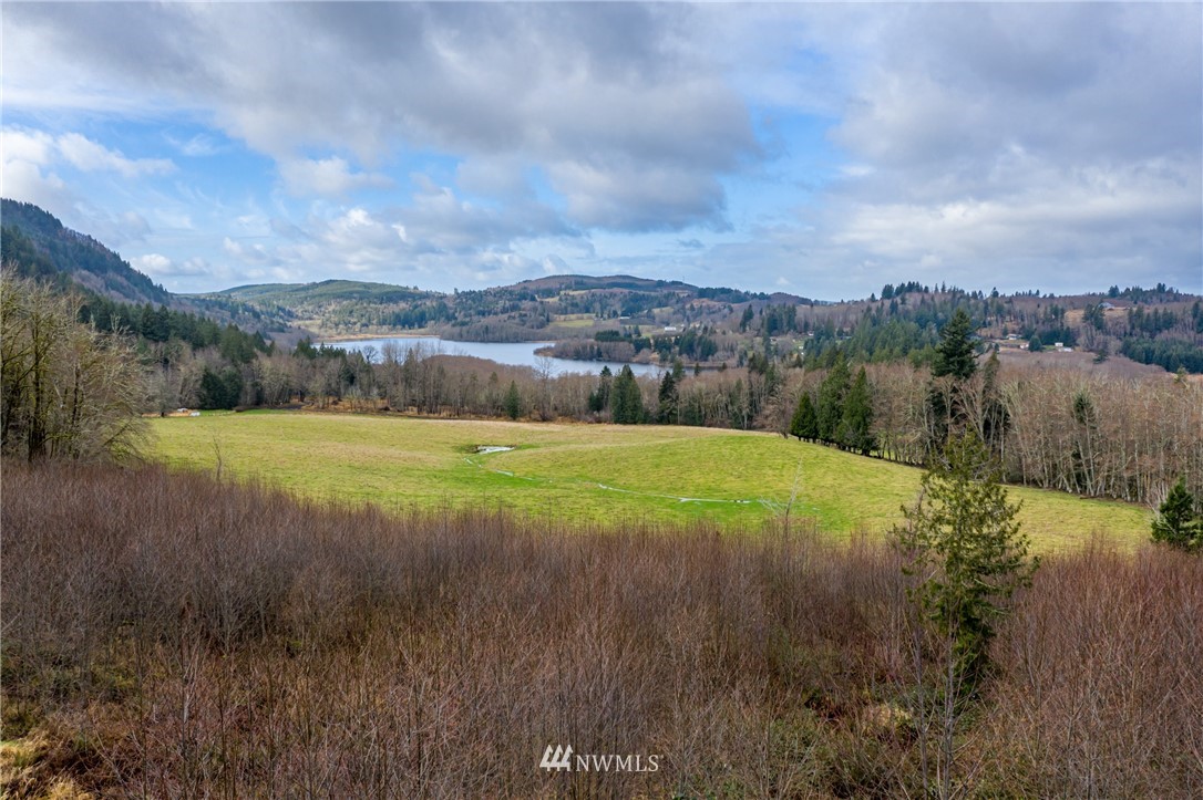0 Green Mountain Road Mossyrock, WA 98564 - Photo 5 of 33 Gallery Image 5