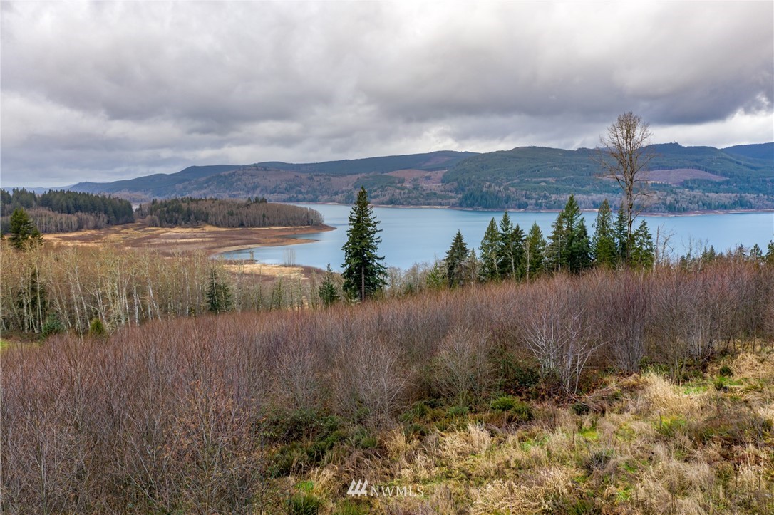 0 Green Mountain Road Mossyrock, WA 98564 - Photo 7 of 33 Gallery Image 7