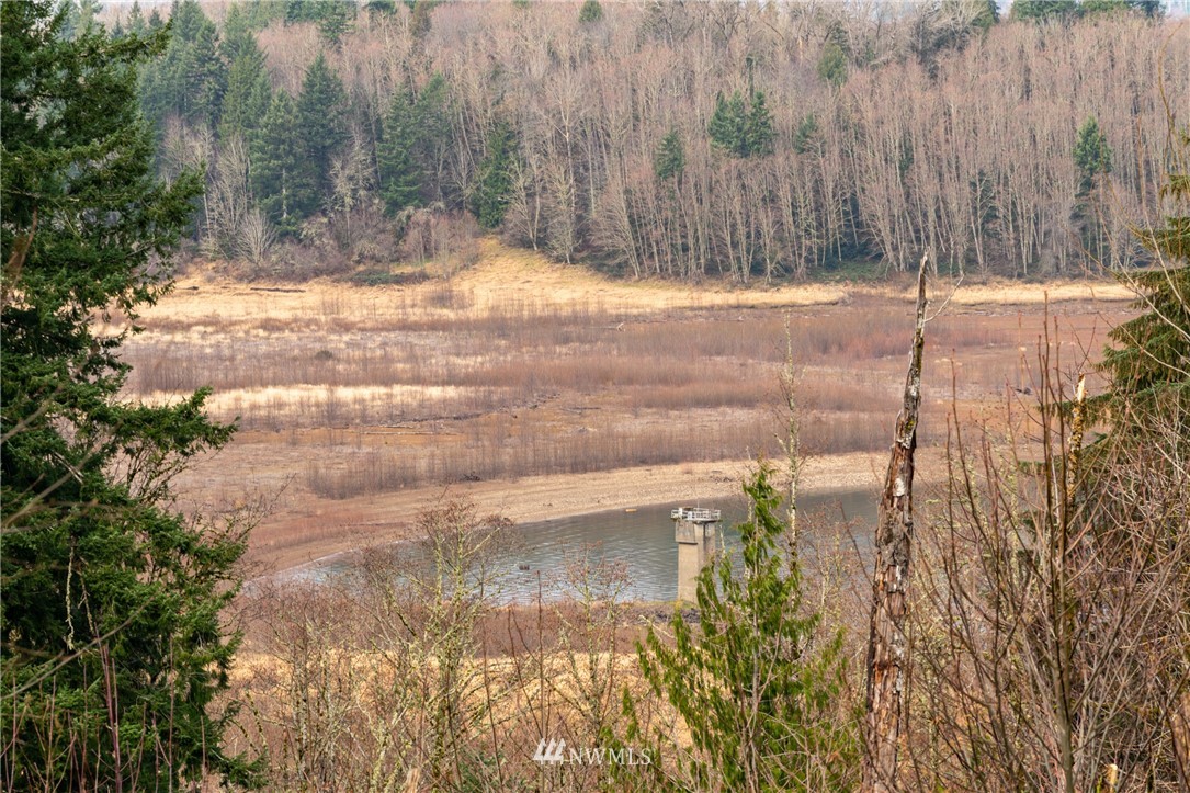 0 Green Mountain Road Mossyrock, WA 98564 - Photo 9 of 33 Gallery Image 9