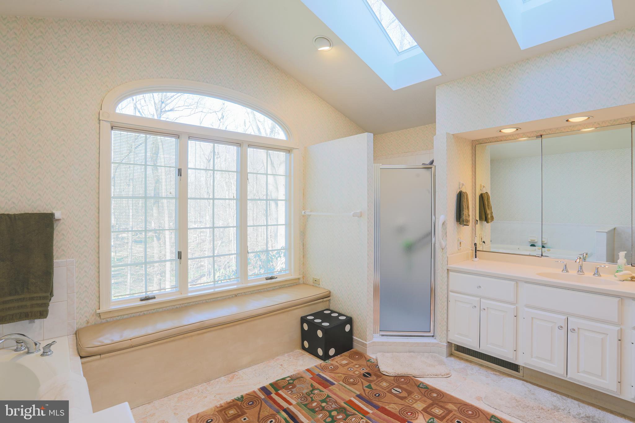 2606 Old Court Road Baltimore, MD 21208 - Photo 45 of 59 Skylights and large windows