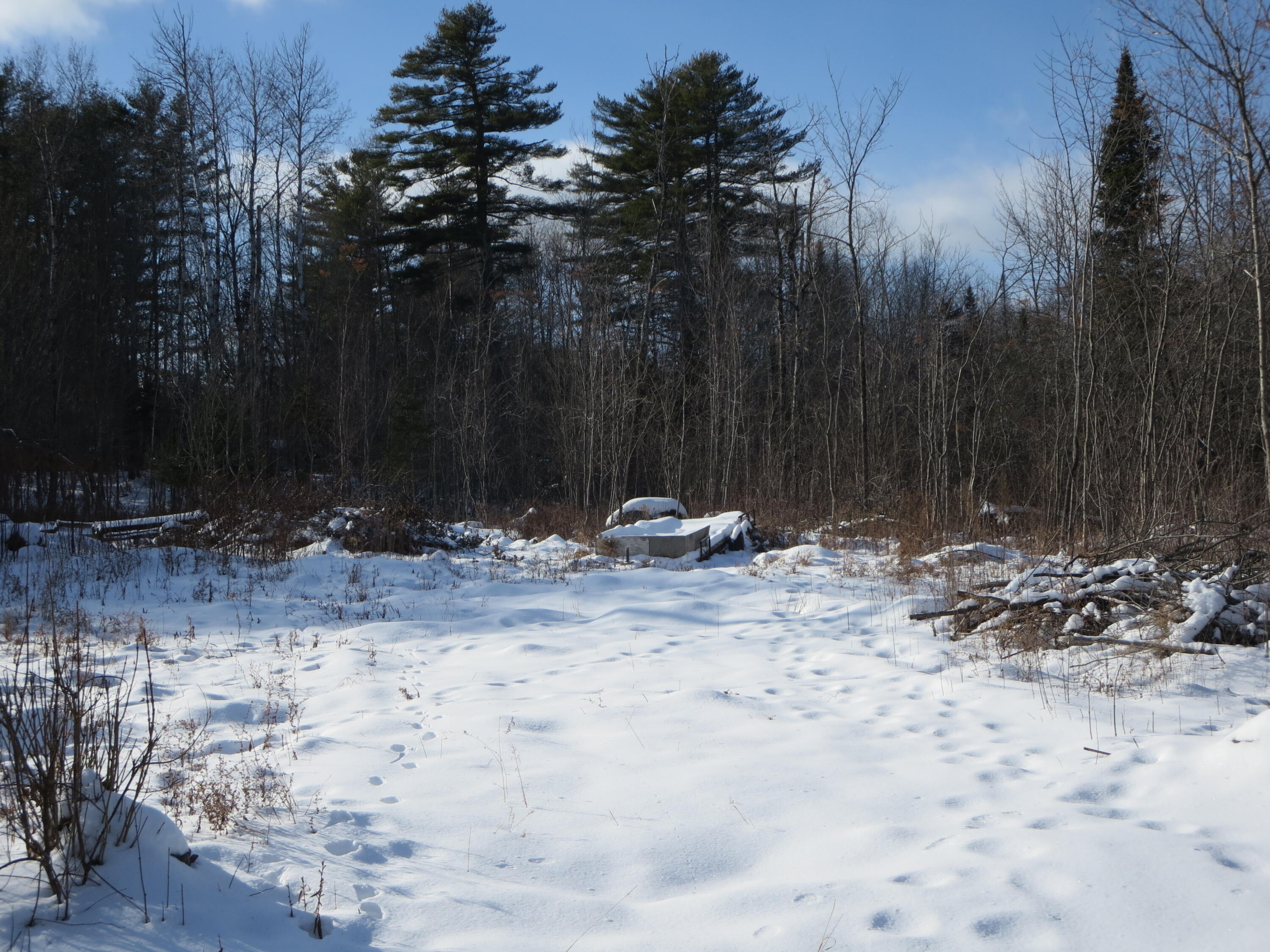 Lot 6-1 Harmon Street Milo, ME 04463 - Photo 2 of 3 IMG_1205