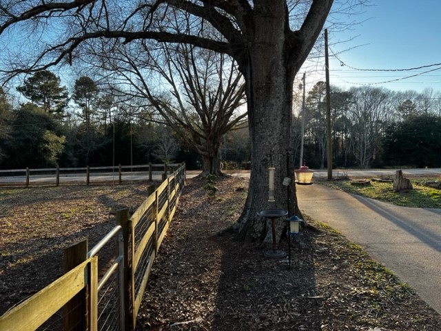 1031 Double Springs Road Townville, SC 29689 - Photo 8 of 30 Front yard and driveway