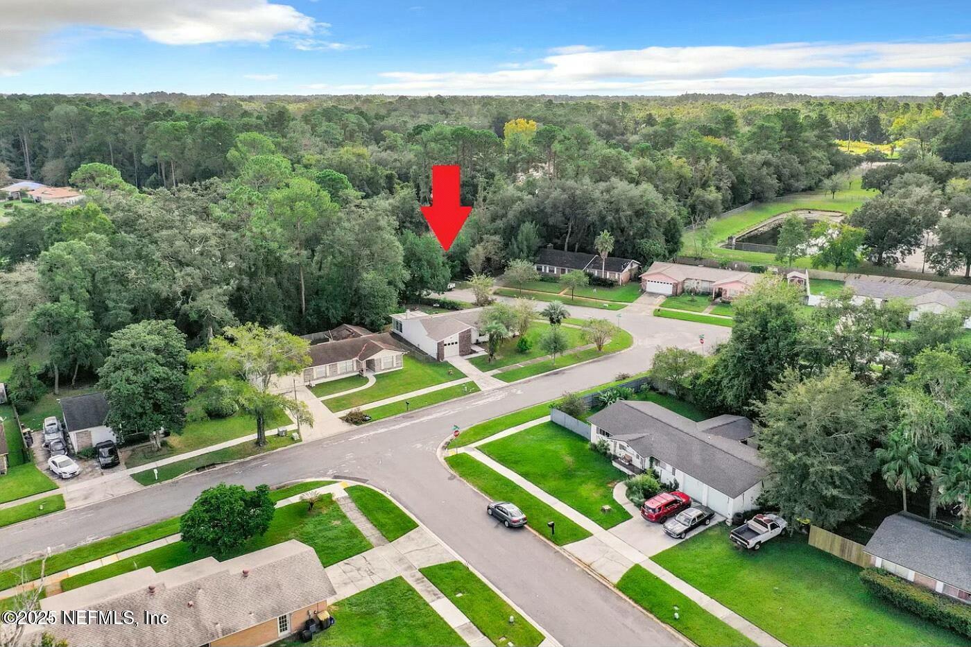 8735 Moss Haven Road Jacksonville, FL 32221 - Photo 27 of 29 a view of yard with patio