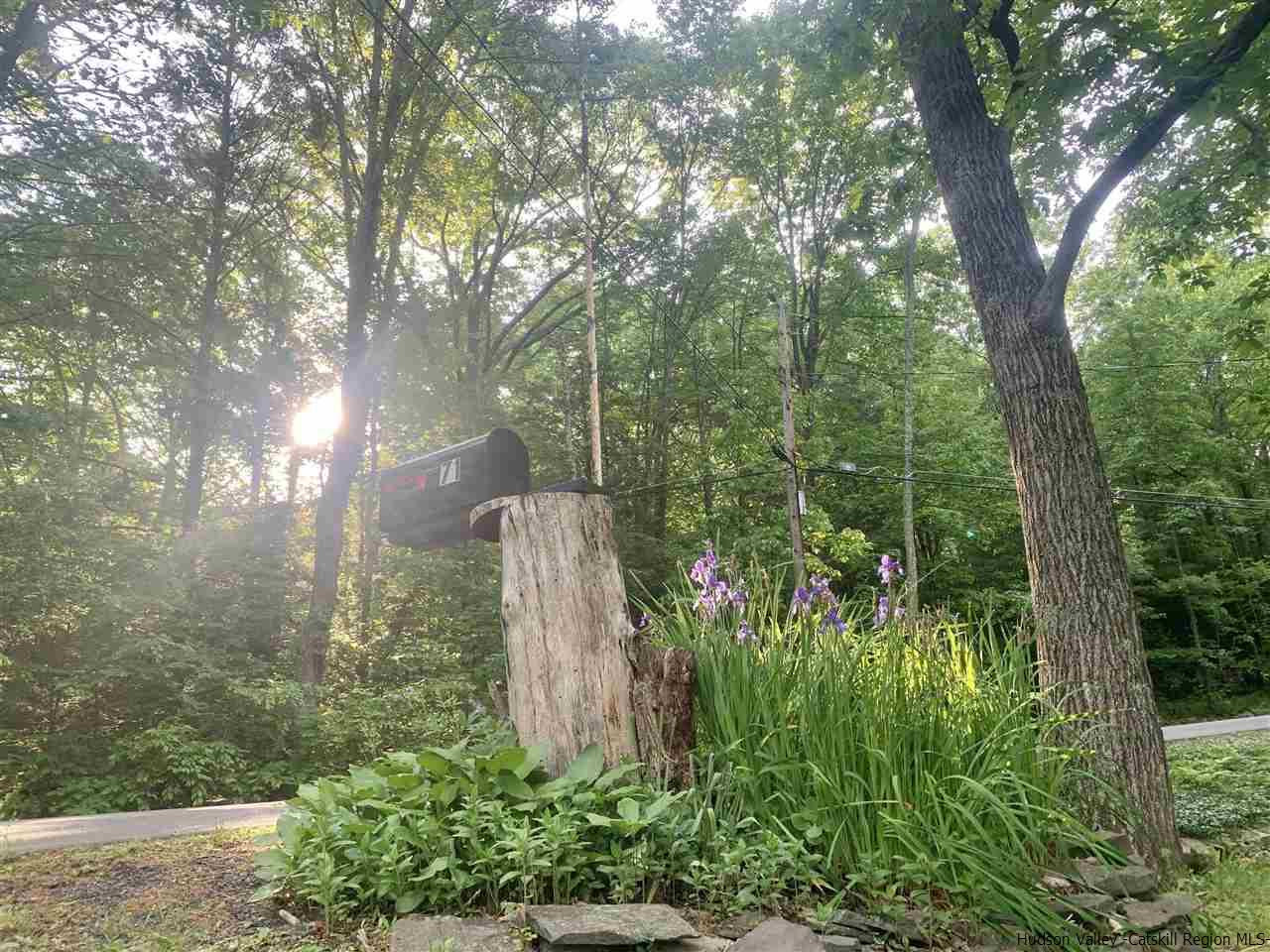 71 Brink Road Saugerties, NY 12477 - Photo 31 of 33 a view of a forest with trees