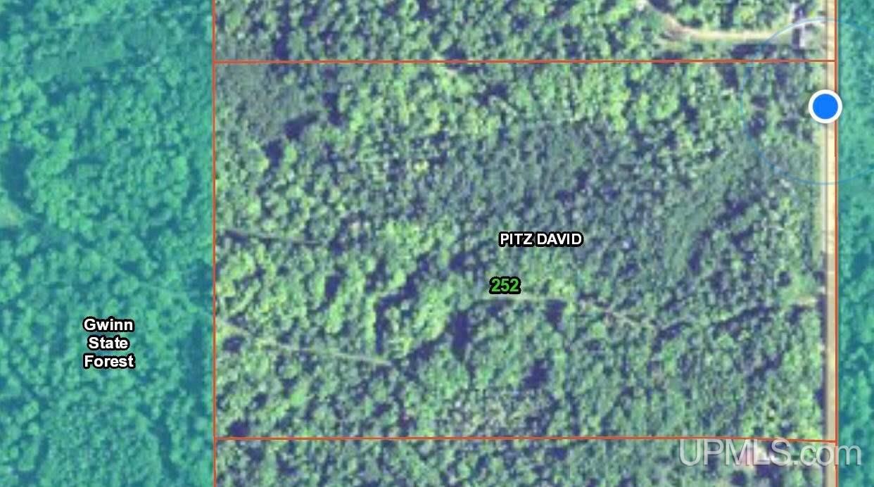 Tbd Co Rd 533 Road Rock, MI 49880 - Photo 13 of 13