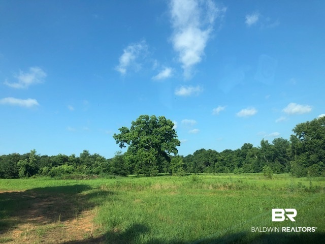 0 Beasley Road Foley, AL 36535 - Photo 15 of 29