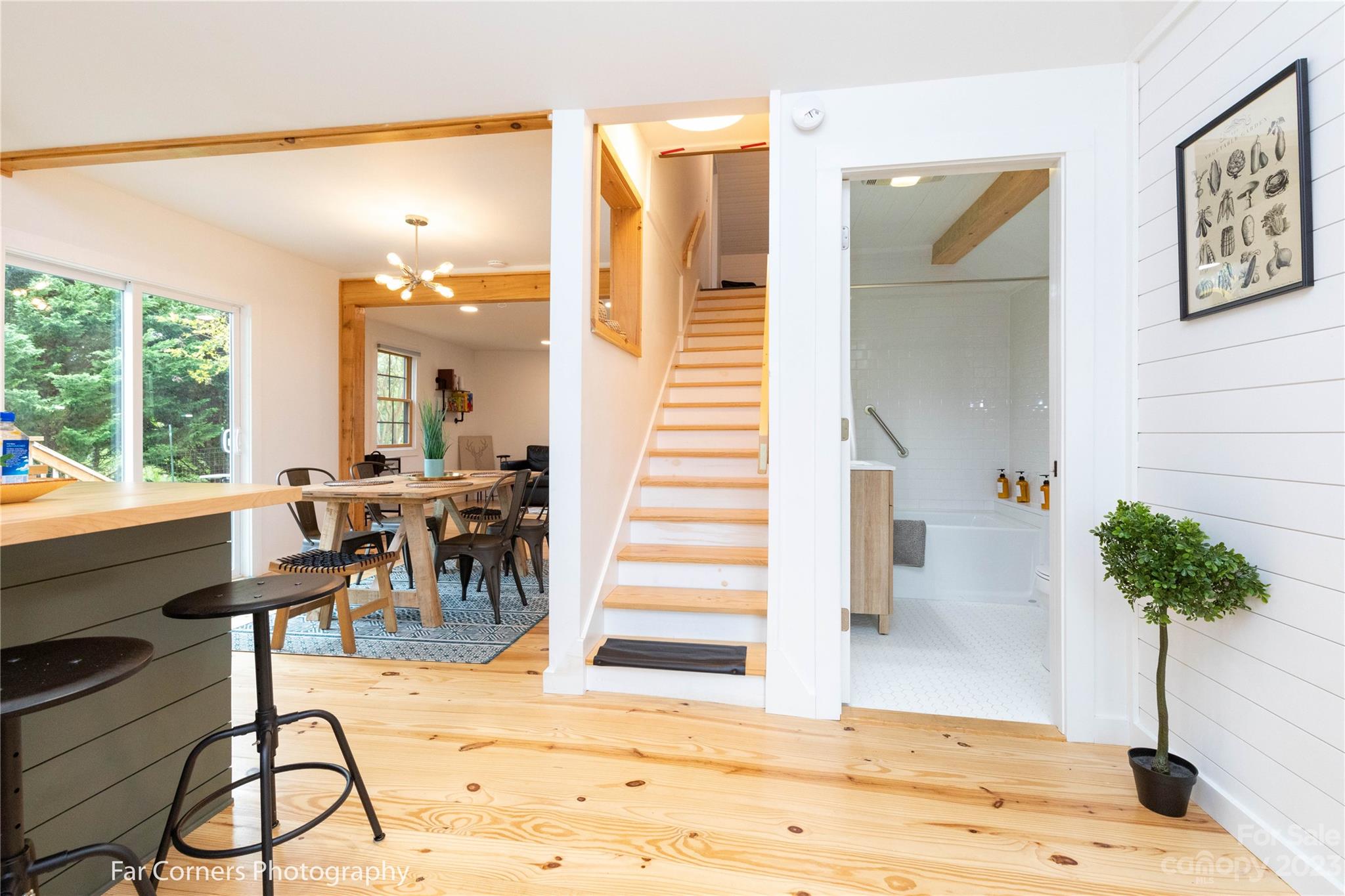 29 South School Road Marshall, NC 28753 - Photo 10 of 24 a living room with furniture and a potted plant