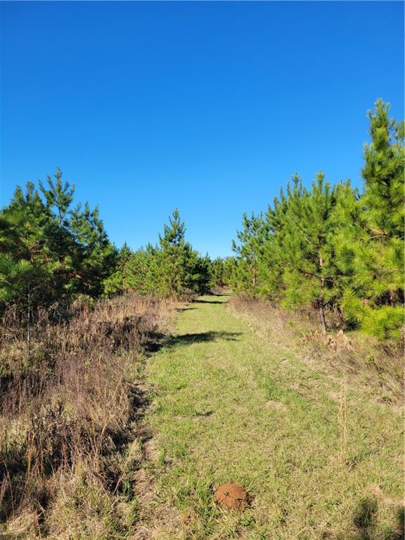 0 Jim Edwards Road Franklinton, LA 70438 - Photo 11 of 11 Gallery Image 11