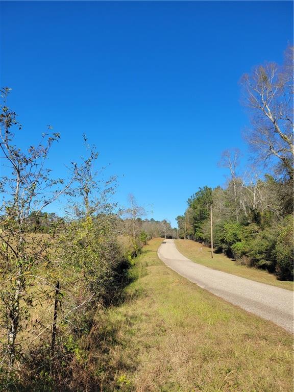 0 Jim Edwards Road Franklinton, LA 70438 - Photo 2 of 11 Gallery Image 2