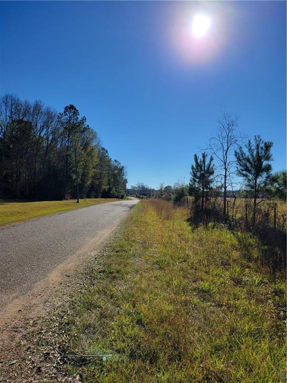 0 Jim Edwards Road Franklinton, LA 70438 - Photo 3 of 11 Gallery Image 3