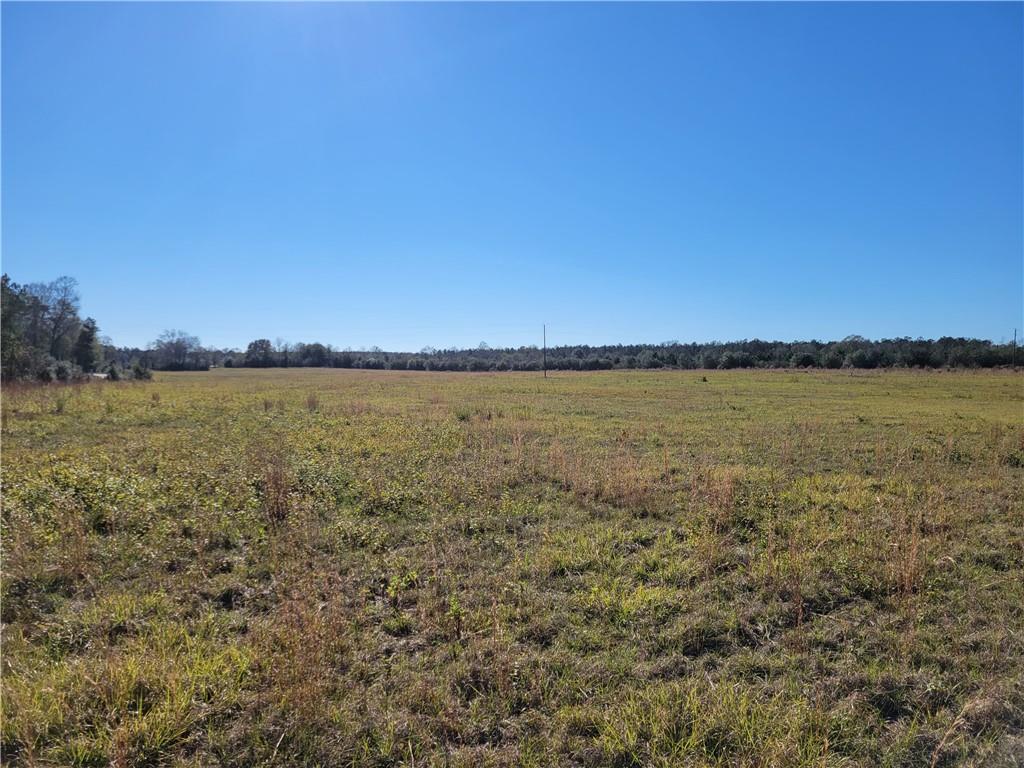0 Jim Edwards Road Franklinton, LA 70438 - Photo 4 of 11 Gallery Image 4