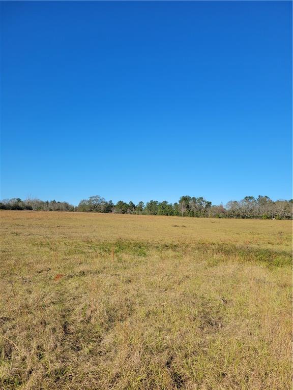 0 Jim Edwards Road Franklinton, LA 70438 - Photo 5 of 11 Gallery Image 5