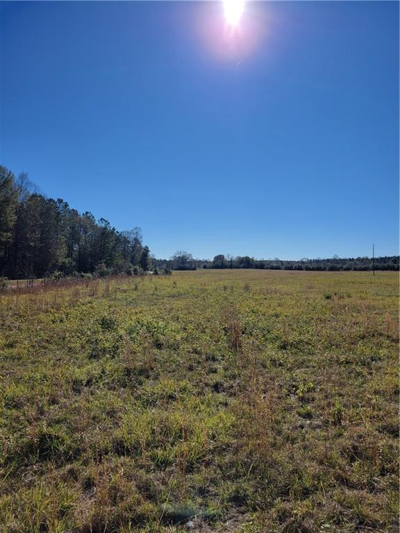 0 Jim Edwards Road Franklinton, LA 70438 - Photo 6 of 11 Gallery Image 6