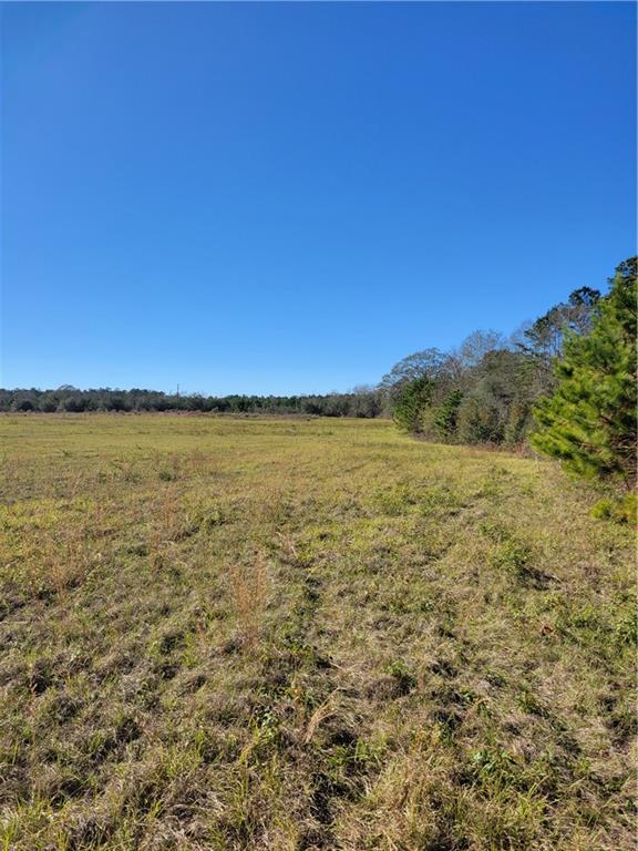 0 Jim Edwards Road Franklinton, LA 70438 - Photo 7 of 11 Gallery Image 7