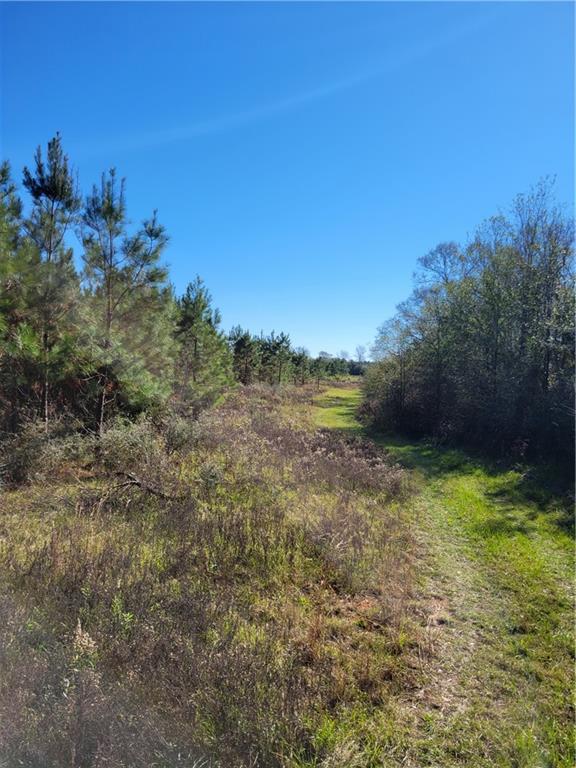 0 Jim Edwards Road Franklinton, LA 70438 - Photo 9 of 11 Gallery Image 9