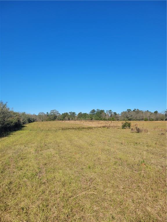 0 Jim Edwards Road Franklinton, LA 70438 - Photo 10 of 11 Gallery Image 10