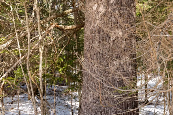 $175,000 | 157 Rte Mattawamkeag Me 04459 Route, Mattawamkeag, ME 04459