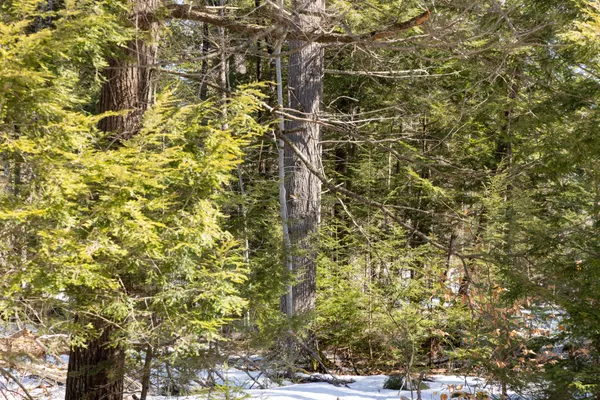 $175,000 | 157 Rte Mattawamkeag Me 04459 Route, Mattawamkeag, ME 04459