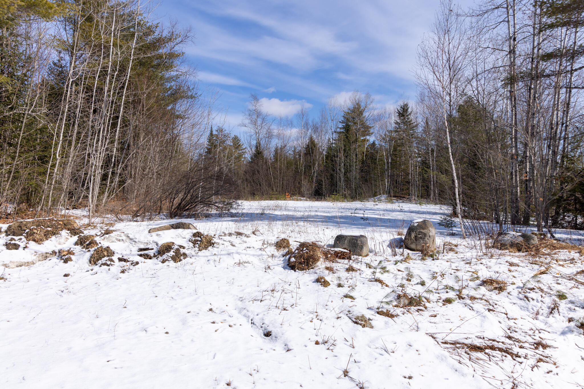 157 Rte Mattawamkeag Me 04459 Route Mattawamkeag, ME 04459 - Photo 6 of 9 2026_03_15 Mattawamkeag GNP-4