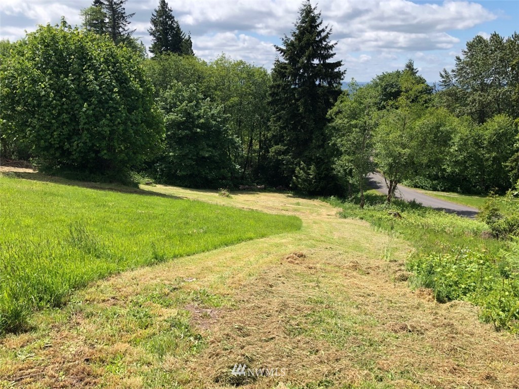 781 Confer Road Kalama, WA 98625 - Photo 14 of 20 Gallery Image 14