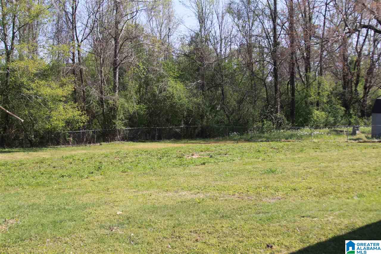 1413 Montevallo Road Weaver, AL 36277 - Photo 4 of 40 Gallery Image 4