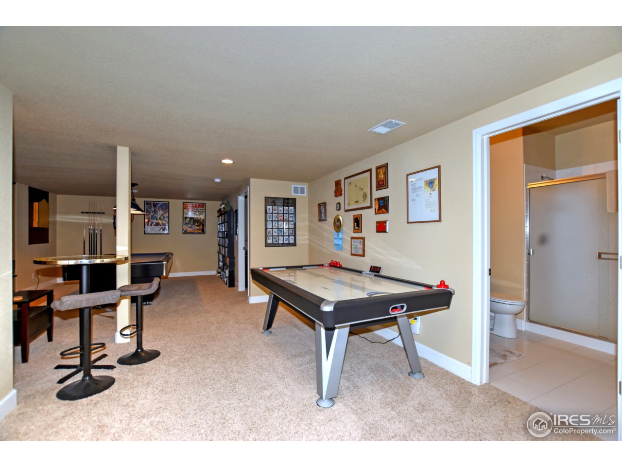 751 Province Road Fort Collins, CO 80525 - Photo 30 of 40 Basement Entertainment Room & Bathroom