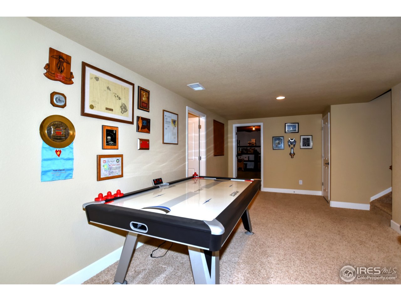 751 Province Road Fort Collins, CO 80525 - Photo 32 of 40 Basement Entertainment Area