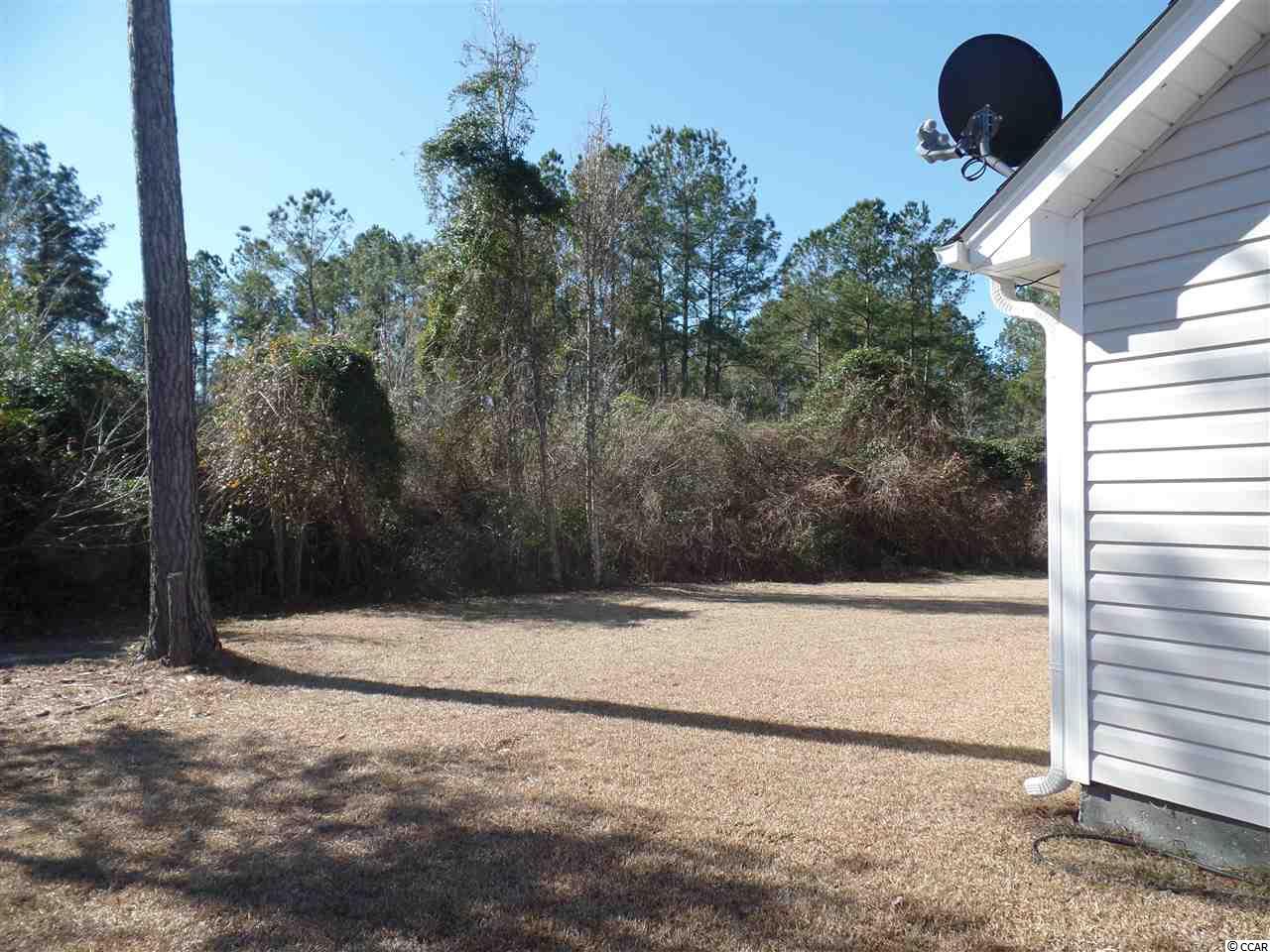 241 Timber Run Drive Hemingway, SC 29554 - Photo 7 of 22 Gallery Image 7