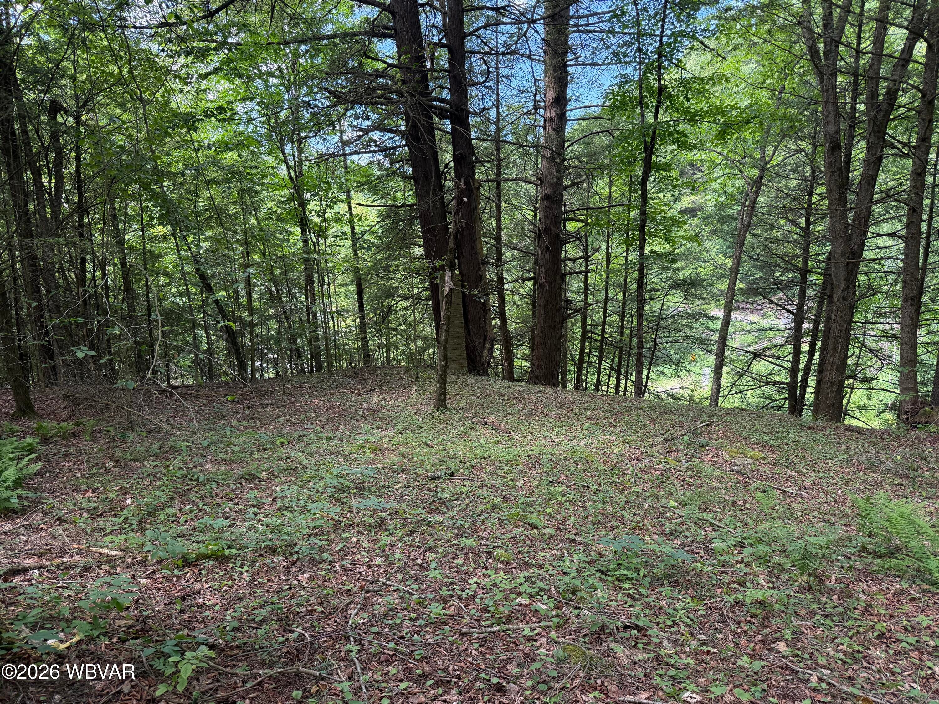 19 Price Road Muncy Valley, PA 17758 - Photo 28 of 42 Gallery Image 28