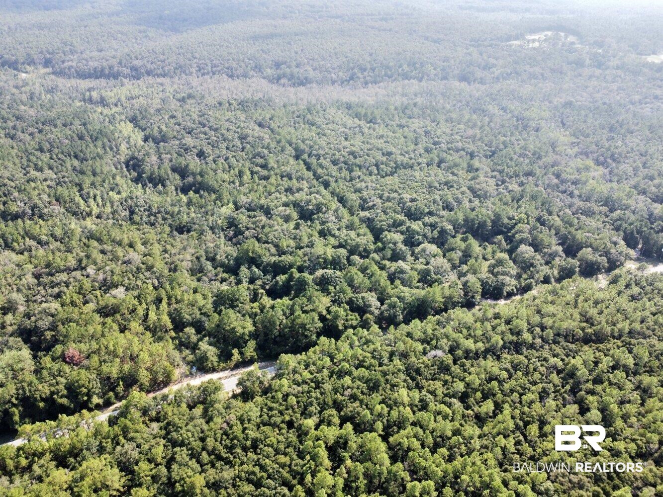 0 Bear Fork Road Mobile, AL 36618 - Photo 12 of 50