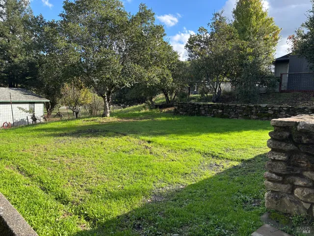 a view of a park with large trees