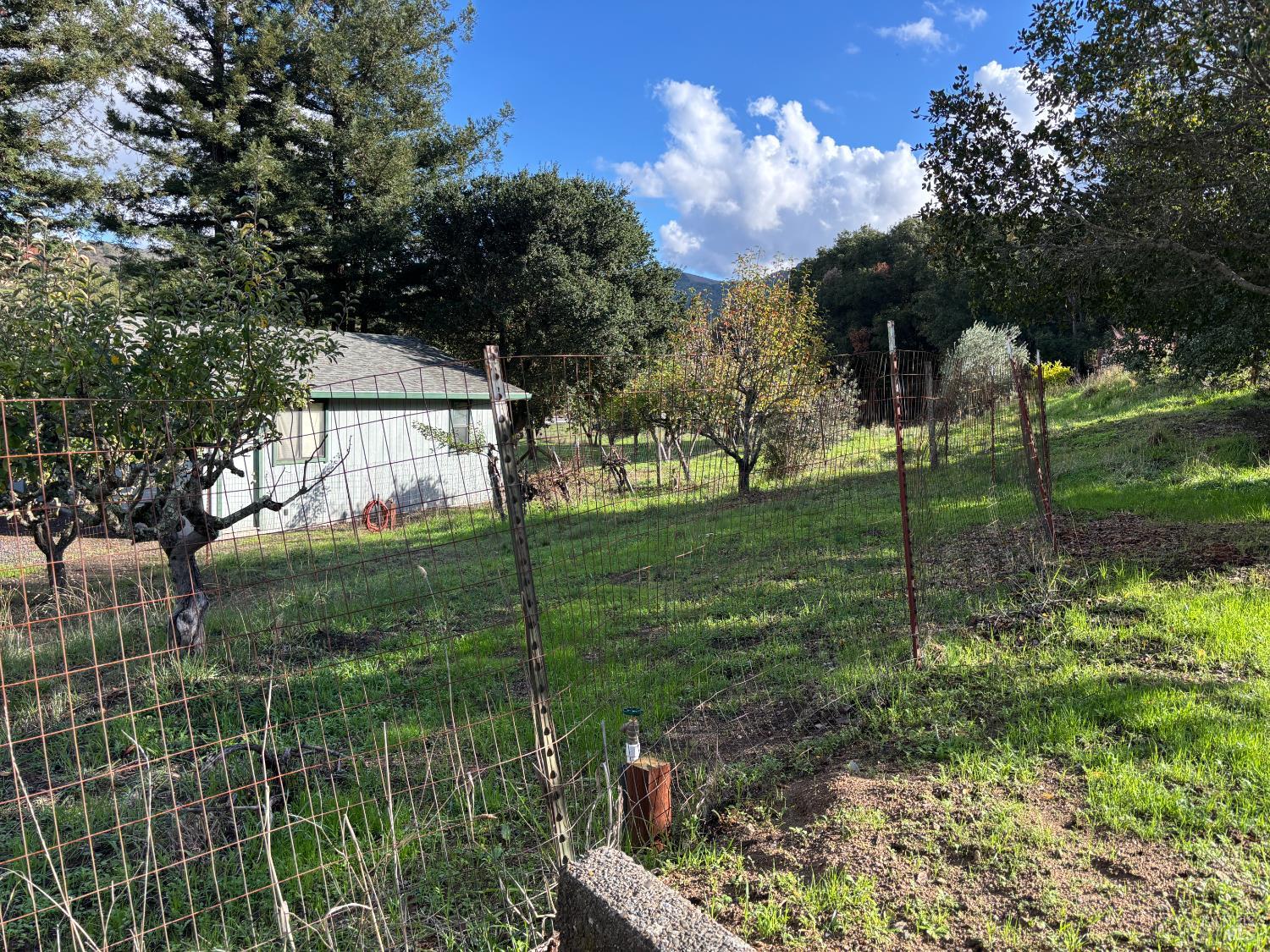 1776 Meda Avenue Santa Rosa, CA 95404 - Photo 5 of 28 a view of a garden
