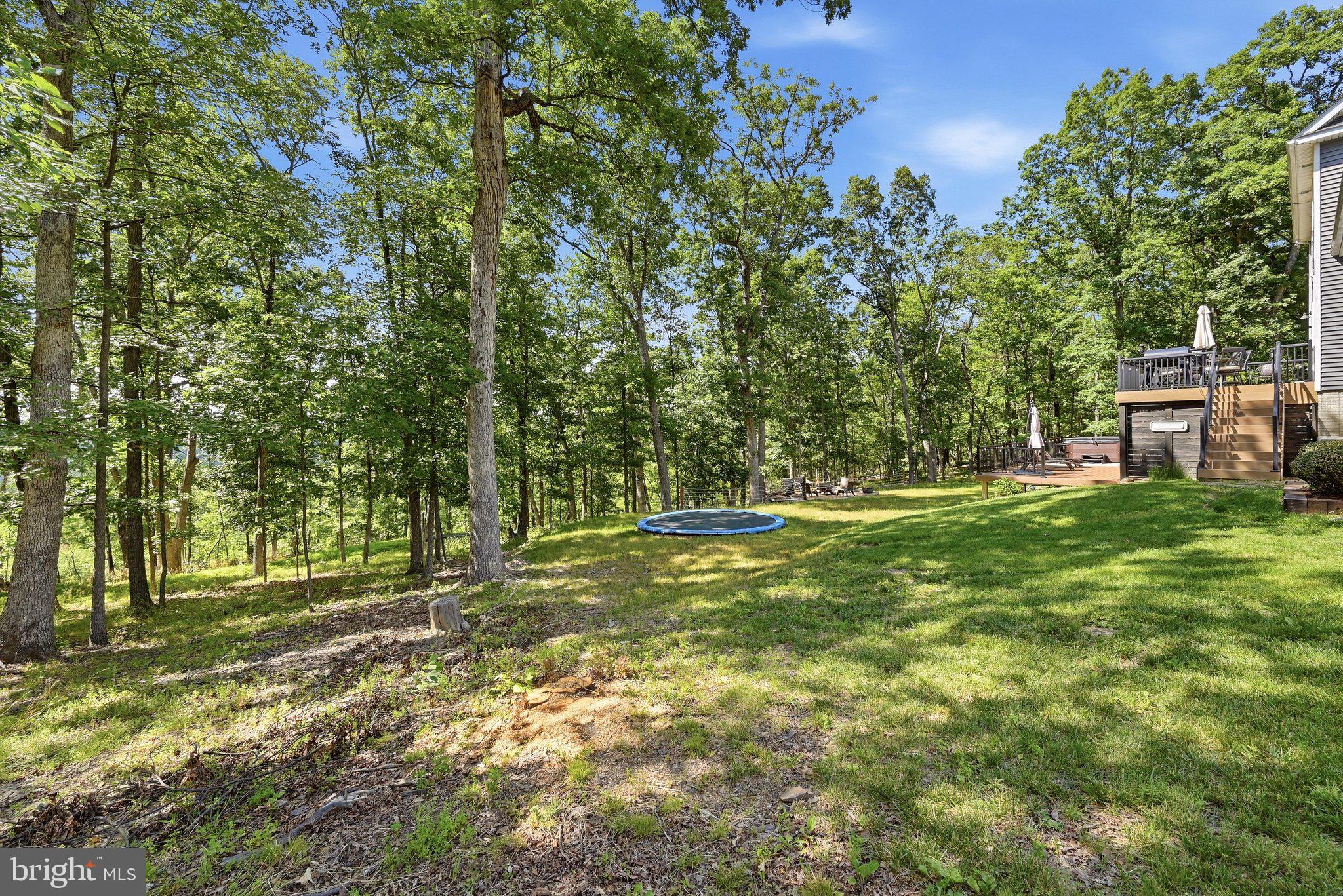 2251 Hunting Ridge Road Winchester, VA 22603 - Photo 49 of 63 Backyad