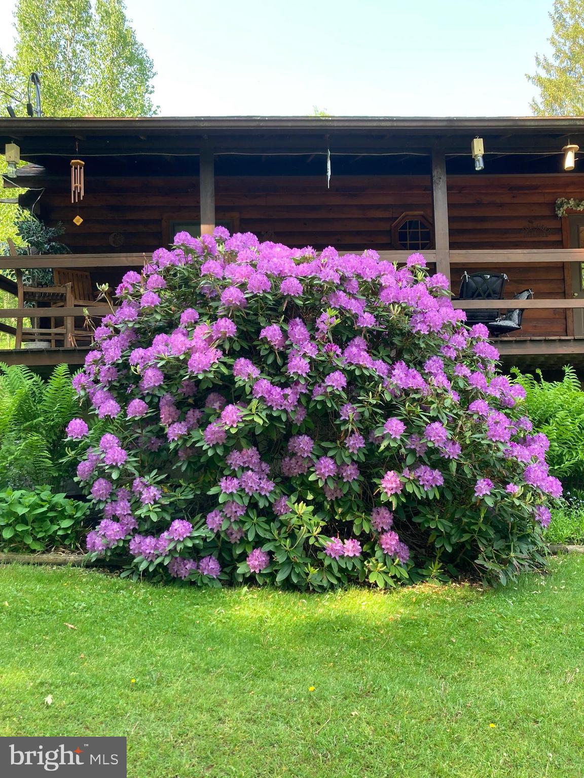 313 North Brookland Road Ulysses, PA 16948 - Photo 61 of 75