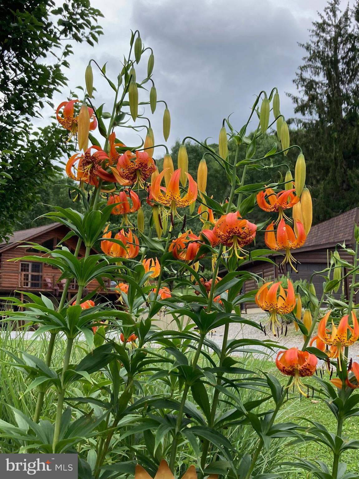 313 North Brookland Road Ulysses, PA 16948 - Photo 62 of 75