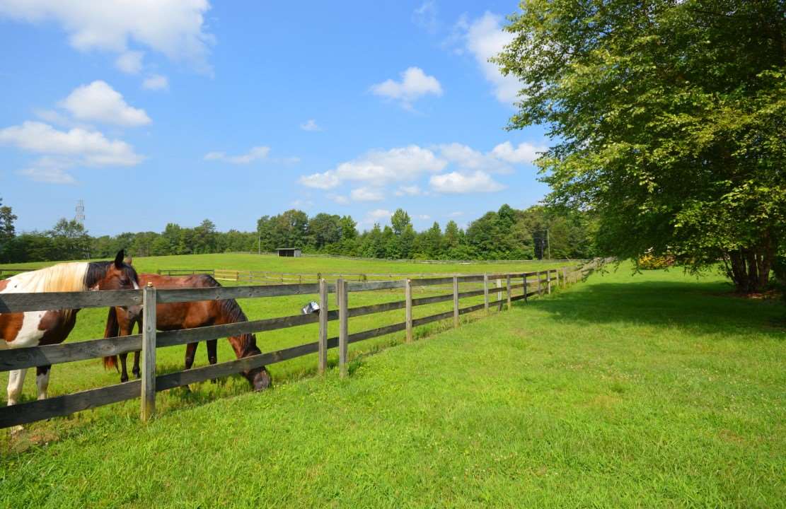 1530 South Blackstock Road Landrum, SC 29356 - Photo 9 of 36 Gallery Image 9
