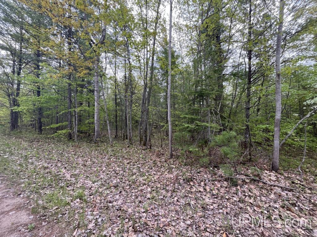 Lot 7 Powell Lake Road Wetmore, MI 49895 - Photo 3 of 16