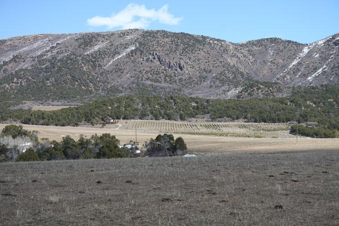14491 O74 Road Montrose, CO 81401 - Photo 3 of 3 38 Acres
