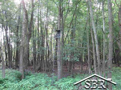 6200 Gratiot Road Saginaw, MI 48638 - Photo 13 of 22 20367839-12.JPG