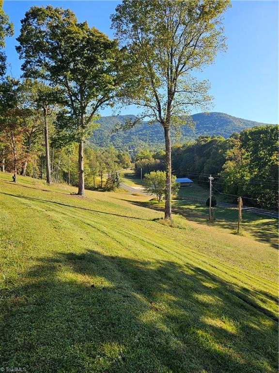 158 Martha Lowe Road Lowgap, NC 27024 - Photo 2 of 33 Gallery Image 2