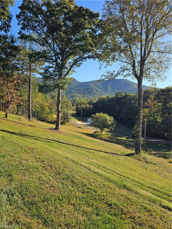 158 Martha Lowe Road Lowgap, NC 27024 - Photo 27 of 33 Gallery Image 27