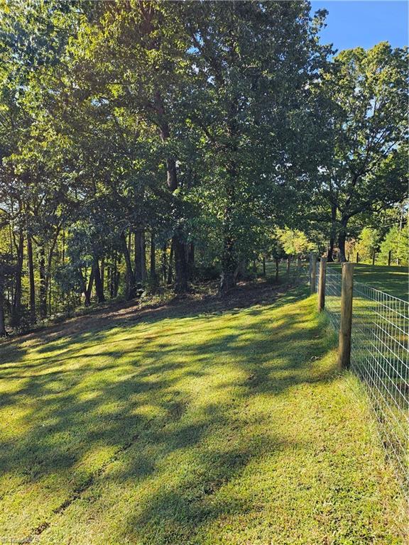 158 Martha Lowe Road Lowgap, NC 27024 - Photo 30 of 33 Gallery Image 30